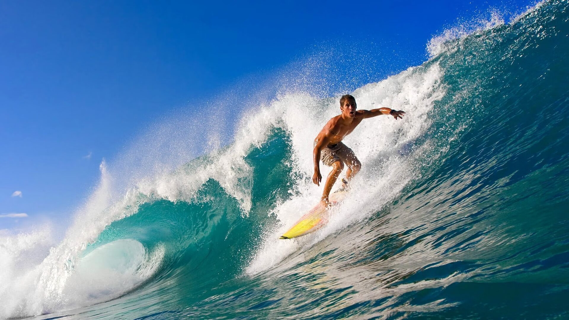 仰泳冲刺波兰选手发挥稳定，仰泳bd